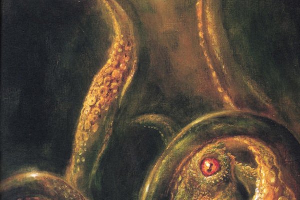 Kraken 12 att