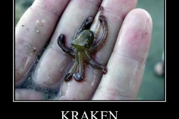 Kraken вход kraken torion