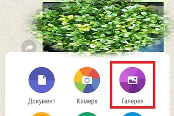 Kraken вход kraken torion