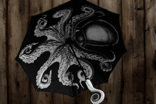 Kraken 22 аt