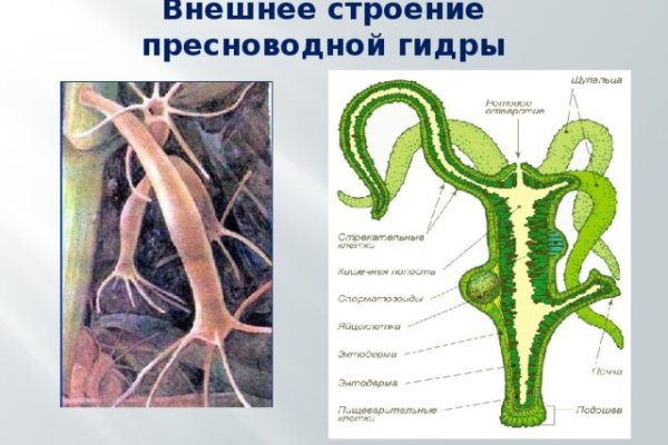 Нарко маркетплейсы