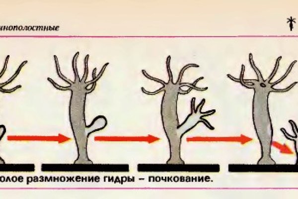 Ссылка на кракен свежая