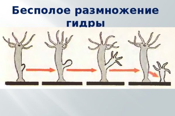 Кракен маркет даркнет слушать