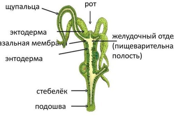 Kraken даркнет что это