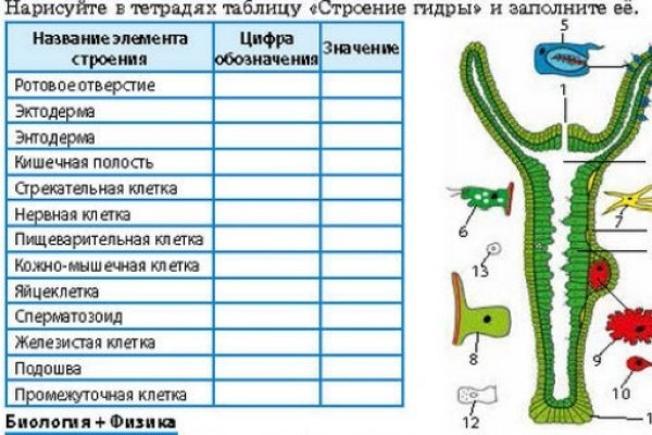 Картинка кракен маркетплейс