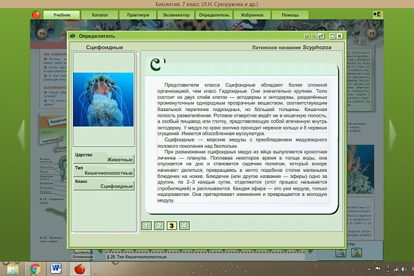 Замена гидры