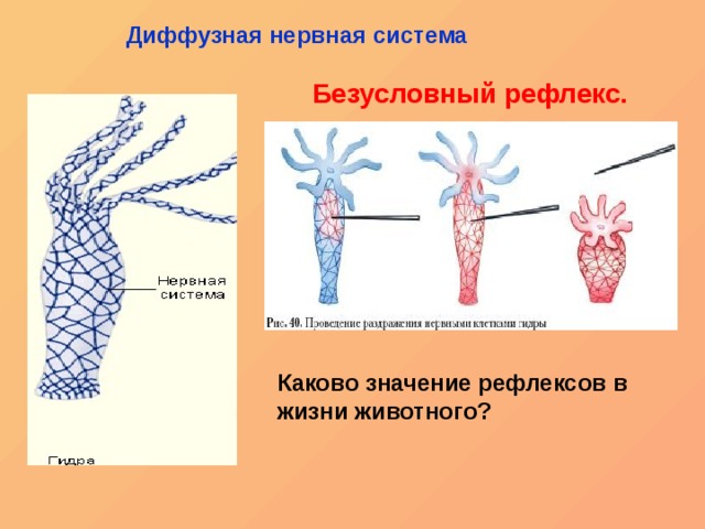 Кракен вместо гидры