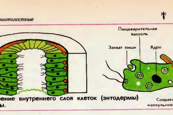 Магазин кракен даркнет сайт