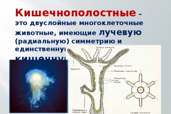 Кракен ссылка новая