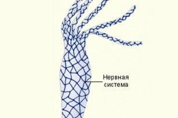 Кракен онион зеркало